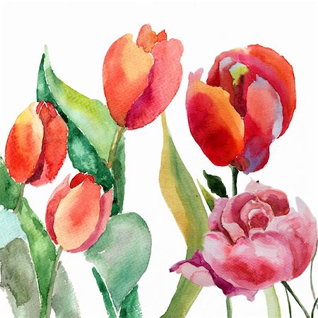 simsearch:400-06202782,k - Watercolor illustration of Beautiful summer flowers Stock Photo - Budget Royalty-Free & Subscription, Code: 400-06101571