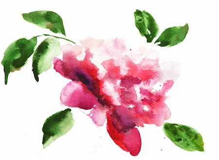 simsearch:400-06202782,k - Watercolor illustration of Beautiful peony flowers Stock Photo - Budget Royalty-Free & Subscription, Code: 400-06101582