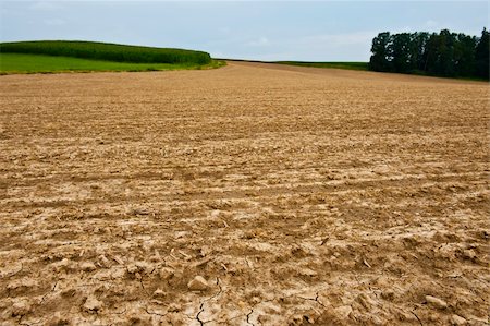 simsearch:400-04380170,k - Freshly Plowed Field In Spring Ready For Cultivation Stock Photo - Budget Royalty-Free & Subscription, Code: 400-06101812