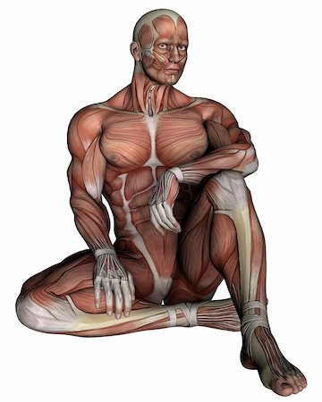 simsearch:400-05906819,k - a male model for human anatomy Stock Photo - Budget Royalty-Free & Subscription, Code: 400-06102134