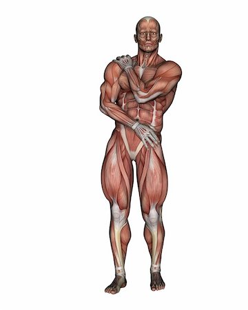 simsearch:400-05906819,k - a male model for human anatomy Stock Photo - Budget Royalty-Free & Subscription, Code: 400-06102133
