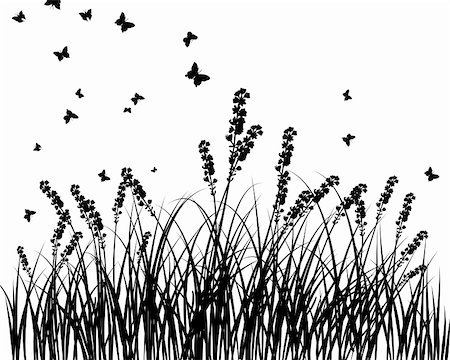 simsearch:400-04595369,k - Vector grass silhouettes background. All objects are separated. Stockbilder - Microstock & Abonnement, Bildnummer: 400-06102284