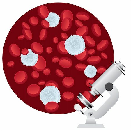 Red and white blood cells under a microscope. Also available as a Vector in Adobe illustrator EPS 8 format, compressed in a zip file. Stock Photo - Budget Royalty-Free & Subscription, Code: 400-06103418