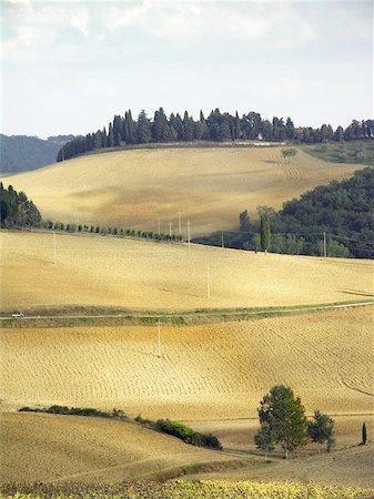 simsearch:851-02960837,k - Country landscape in Tuscany, Italy Stock Photo - Budget Royalty-Free & Subscription, Code: 400-06126852