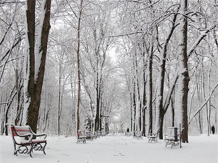 simsearch:400-05703002,k - Red benches in a park covered with snow Photographie de stock - Aubaine LD & Abonnement, Code: 400-06127221