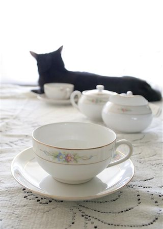teacup, with shadow of cat Stock Photo - Budget Royalty-Free & Subscription, Code: 400-06129031