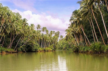 River in Bohol island, Philippines Stock Photo - Budget Royalty-Free & Subscription, Code: 400-06129192