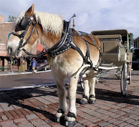 horse and cart in aspen Stockbilder - Microstock & Abonnement, Bildnummer: 400-06129433