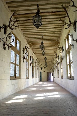 Corridor displaying hunting trophys, Chateau de chambord, loire valley, france Stock Photo - Budget Royalty-Free & Subscription, Code: 400-06129553