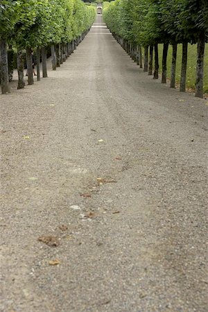 Tree lined gravel track leading to garden, chateau de villandry, france Stock Photo - Budget Royalty-Free & Subscription, Code: 400-06129783