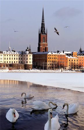 scandinavian blue house - Stockholm Town in winter Stock Photo - Budget Royalty-Free & Subscription, Code: 400-06129956