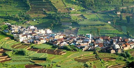 An Indian Village in Munar. Stock Photo - Budget Royalty-Free & Subscription, Code: 400-06134326