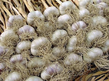 simsearch:400-05876466,k - amount of garlic bulbs lying one on another Stockbilder - Microstock & Abonnement, Bildnummer: 400-06135386