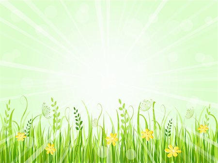 simsearch:400-04324218,k - Beautiful Summer Meadow Landscape. Vector Illustration of Grass at Lawn With Green Sky Stock Photo - Budget Royalty-Free & Subscription, Code: 400-06135794