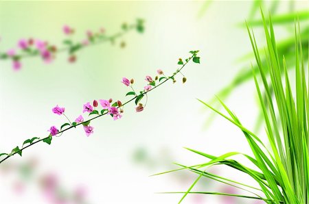 simsearch:400-04869732,k - pink flower and fresh grass Stock Photo - Budget Royalty-Free & Subscription, Code: 400-06135831