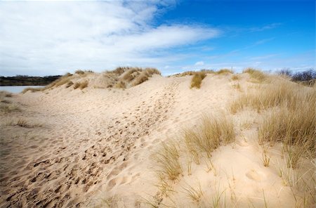 path between sand dunes in Netherlands Foto de stock - Super Valor sin royalties y Suscripción, Código: 400-06135866