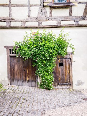 An image of some roses and the old wooden doors Stock Photo - Budget Royalty-Free & Subscription, Code: 400-06136389