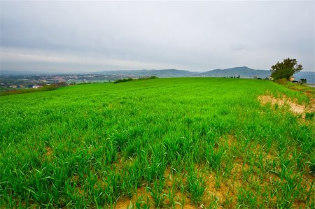 Medieval Italian Town Surrounded by Fields and Mountains in the Rainy Weather Stock Photo - Budget Royalty-Free & Subscription, Code: 400-06136836