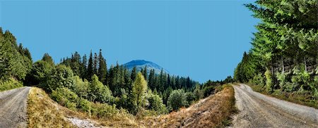 forest path panorama - Two dirt roads in the woods with the foothills of the northwest mountains in the distance panorama Stock Photo - Budget Royalty-Free & Subscription, Code: 400-06137465