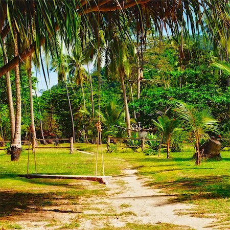 swing under tree in jungle resort, Krabi, Thailand Stock Photo - Budget Royalty-Free & Subscription, Code: 400-06137868