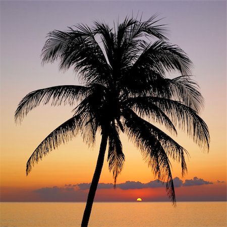 simsearch:6129-09044541,k - sunset over Caribbean Sea, Maria la Gorda, Pinar del Rio Province, Cuba Foto de stock - Royalty-Free Super Valor e Assinatura, Número: 400-06137944