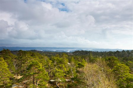 view over forest with cloudy sky - norway Photographie de stock - Aubaine LD & Abonnement, Code: 400-06138005