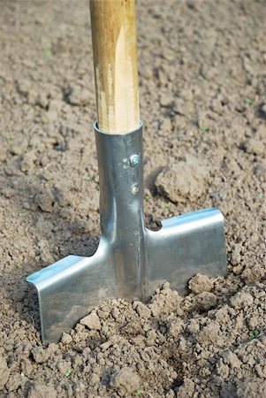 shovel in dirt - Shovel in the ground Stock Photo - Budget Royalty-Free & Subscription, Code: 400-06138068
