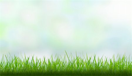 photographic effects - spring background with grass and colorful sky Stock Photo - Budget Royalty-Free & Subscription, Code: 400-06138089