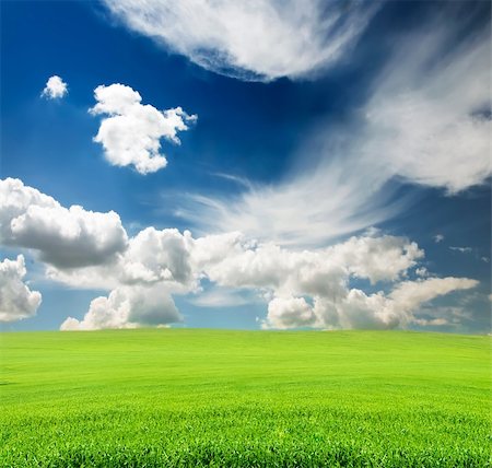 blue cloudy sky with green grass in the field in summer Stockbilder - Microstock & Abonnement, Bildnummer: 400-06138110