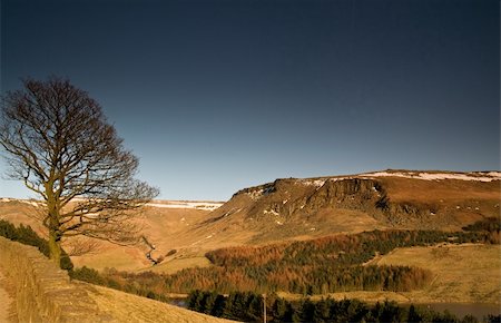 A lone tree without any leaves in autumn season at Dovestone Reservoir in the Peak District near greater Manchester. Foto de stock - Royalty-Free Super Valor e Assinatura, Número: 400-06138694
