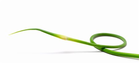 simsearch:400-05919877,k - Fresh garlic scape on white background. Close-up view. Stock Photo - Budget Royalty-Free & Subscription, Code: 400-06138784