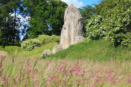 simsearch:400-04518981,k - overgrown ruins of berkhamsted castle in hertfordshire england, built by the normans in the motte and bailey style Photographie de stock - Aubaine LD & Abonnement, Code: 400-06138998