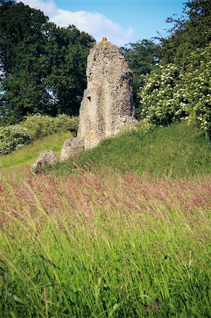 flint - overgrown ruins of berkhamsted castle in hertfordshire england, built by the normans in the motte and bailey style Stock Photo - Budget Royalty-Free & Subscription, Code: 400-06139000