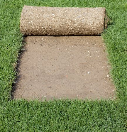 simsearch:400-08074641,k - Grass Carpet Rolls Peeled from Sod Stock Photo - Budget Royalty-Free & Subscription, Code: 400-06139377