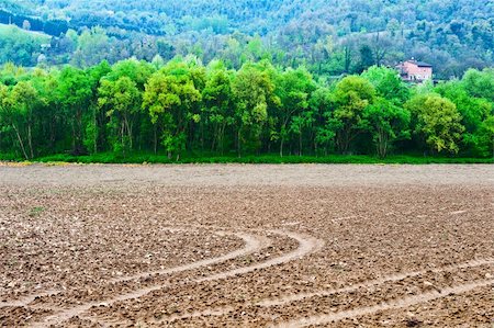simsearch:400-04380170,k - The Italian Farmhouse Surrounded by Forests and Plowed Fields Stock Photo - Budget Royalty-Free & Subscription, Code: 400-06139404