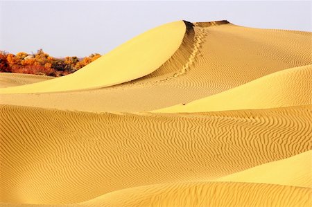Landscape of golden desert in Xinjiang China Stock Photo - Budget Royalty-Free & Subscription, Code: 400-06139734