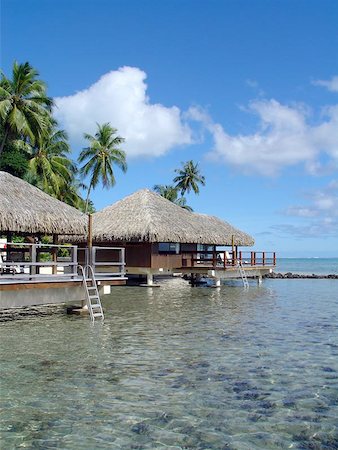 This is what a vacation is all about! Over the water bungalows in the South Pacific. Stock Photo - Budget Royalty-Free & Subscription, Code: 400-06131873