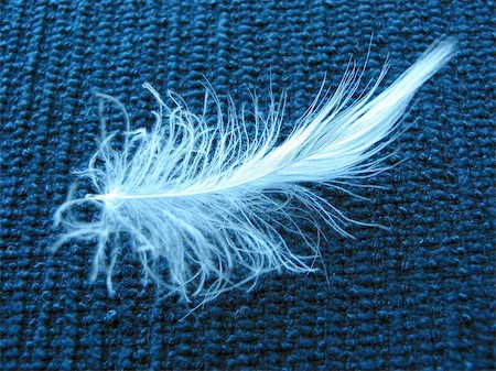 simsearch:400-05080016,k - Light fluffy white feather on blue surface, closeup, top view Foto de stock - Super Valor sin royalties y Suscripción, Código: 400-06132831