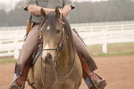 run gun - Beautiful Quarter Horse stallion under saddle Stock Photo - Budget Royalty-Free & Subscription, Code: 400-06133987