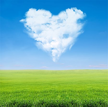 field of green grass over blue sky with clouds in shape of heart Stockbilder - Microstock & Abonnement, Bildnummer: 400-06140368