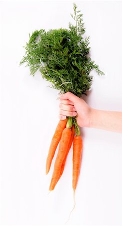 reaching for leaves - Hand holding carrots isolated on white Stock Photo - Budget Royalty-Free & Subscription, Code: 400-06140454
