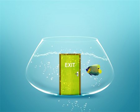 simsearch:400-06080242,k - angelfish in small bowl with exit door. Stock Photo - Budget Royalty-Free & Subscription, Code: 400-06140468