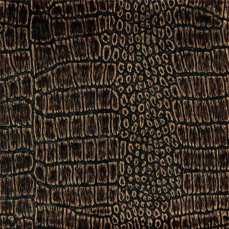pitón - Old crocodile leather texture background Foto de stock - Super Valor sin royalties y Suscripción, Código: 400-06140462