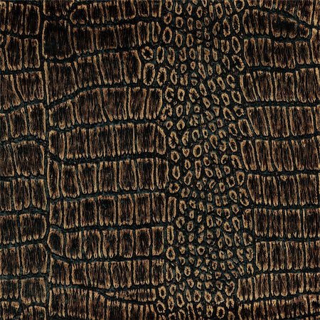 Old crocodile leather texture background Stock Photo - Budget Royalty-Free & Subscription, Code: 400-06140462