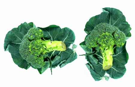 broccoli and Leaf on a white background Photographie de stock - Aubaine LD & Abonnement, Code: 400-06140473