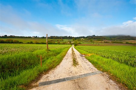 Dirt Road Leading to the Farmhouse in Tuscany, Italy Stock Photo - Budget Royalty-Free & Subscription, Code: 400-06140526