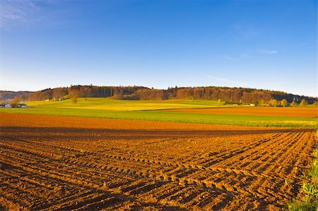 simsearch:400-04380170,k - The Swiss Farmhouse Surrounded by Forests and Plowed Fields Stock Photo - Budget Royalty-Free & Subscription, Code: 400-06140534