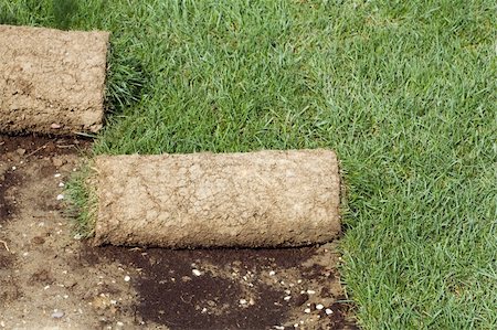 simsearch:400-08074641,k - Grass Carpet Rolls Peeled from Soil Stock Photo - Budget Royalty-Free & Subscription, Code: 400-06140549