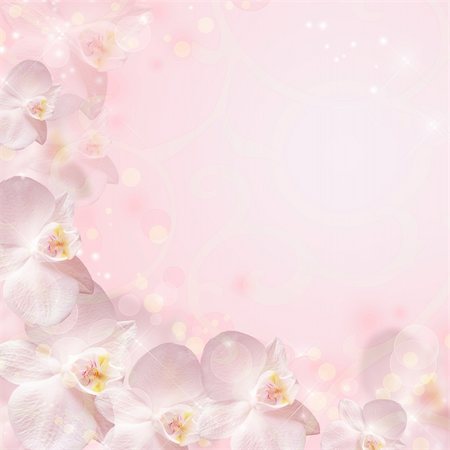 Wedding background with the rings and orchid Fotografie stock - Microstock e Abbonamento, Codice: 400-06141094