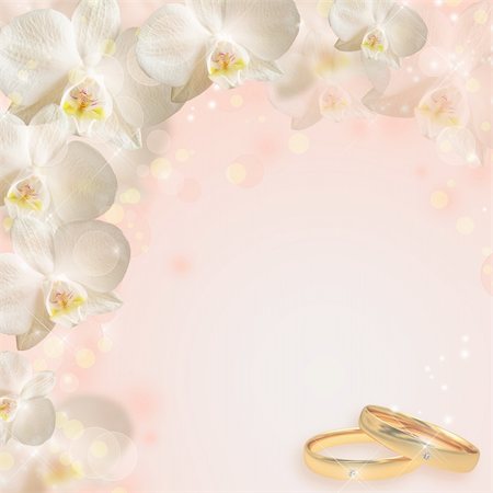 Wedding background with the rings and orchid Stockbilder - Microstock & Abonnement, Bildnummer: 400-06141093